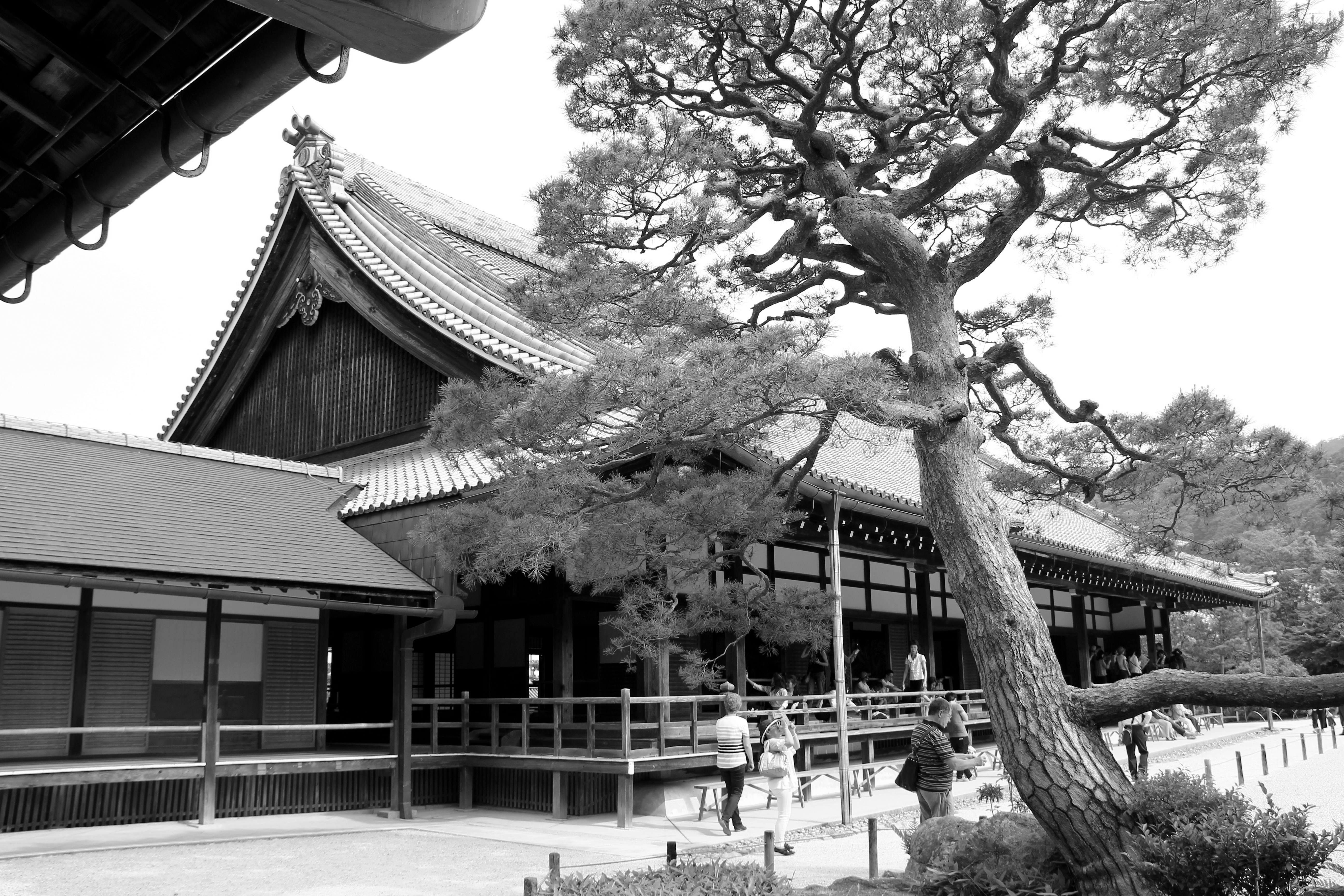 BBB-Kyoto-042