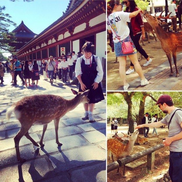 Blog-Nara-004