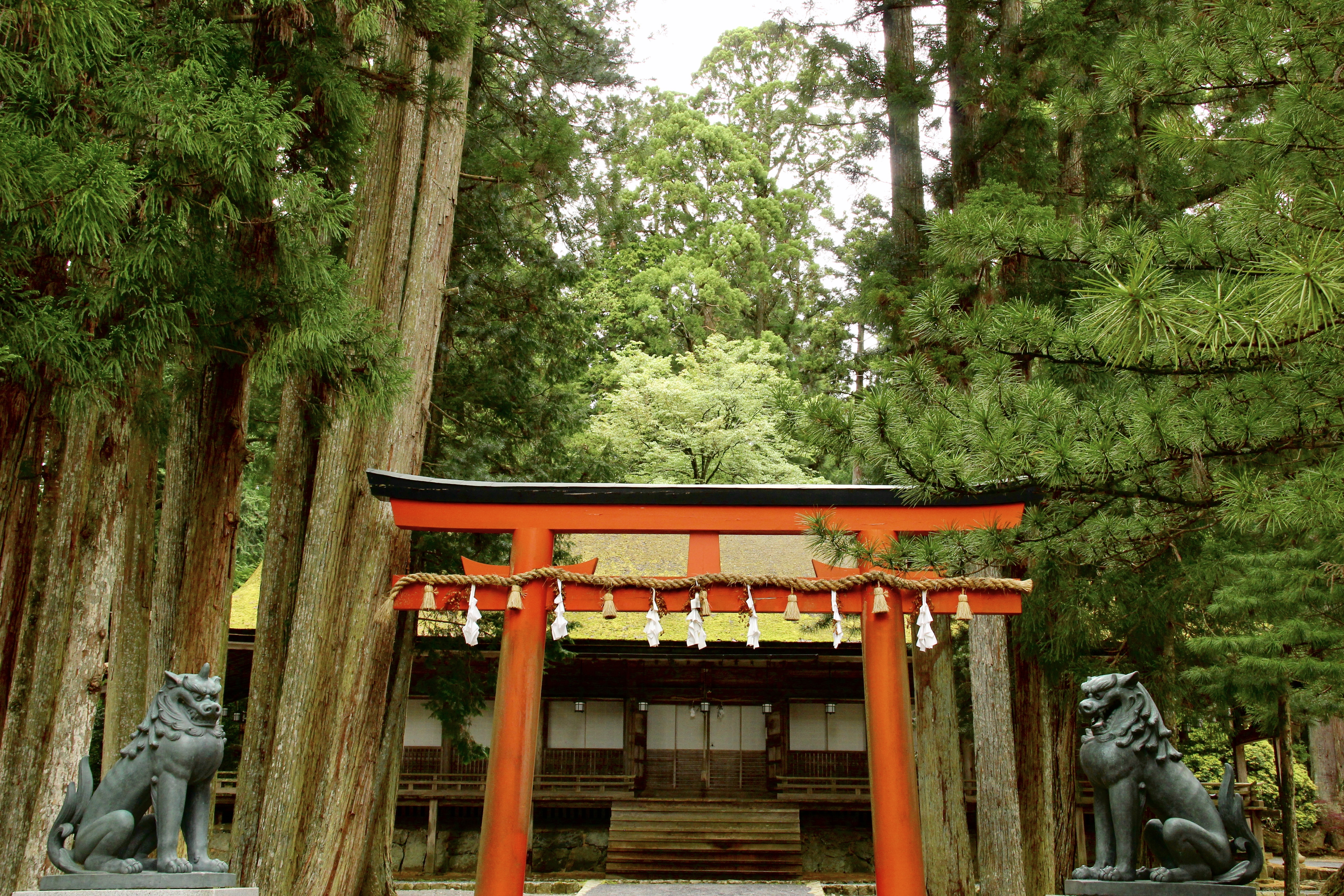 EE-Koyasan-043