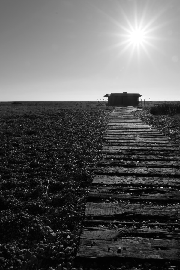Dungeness0041