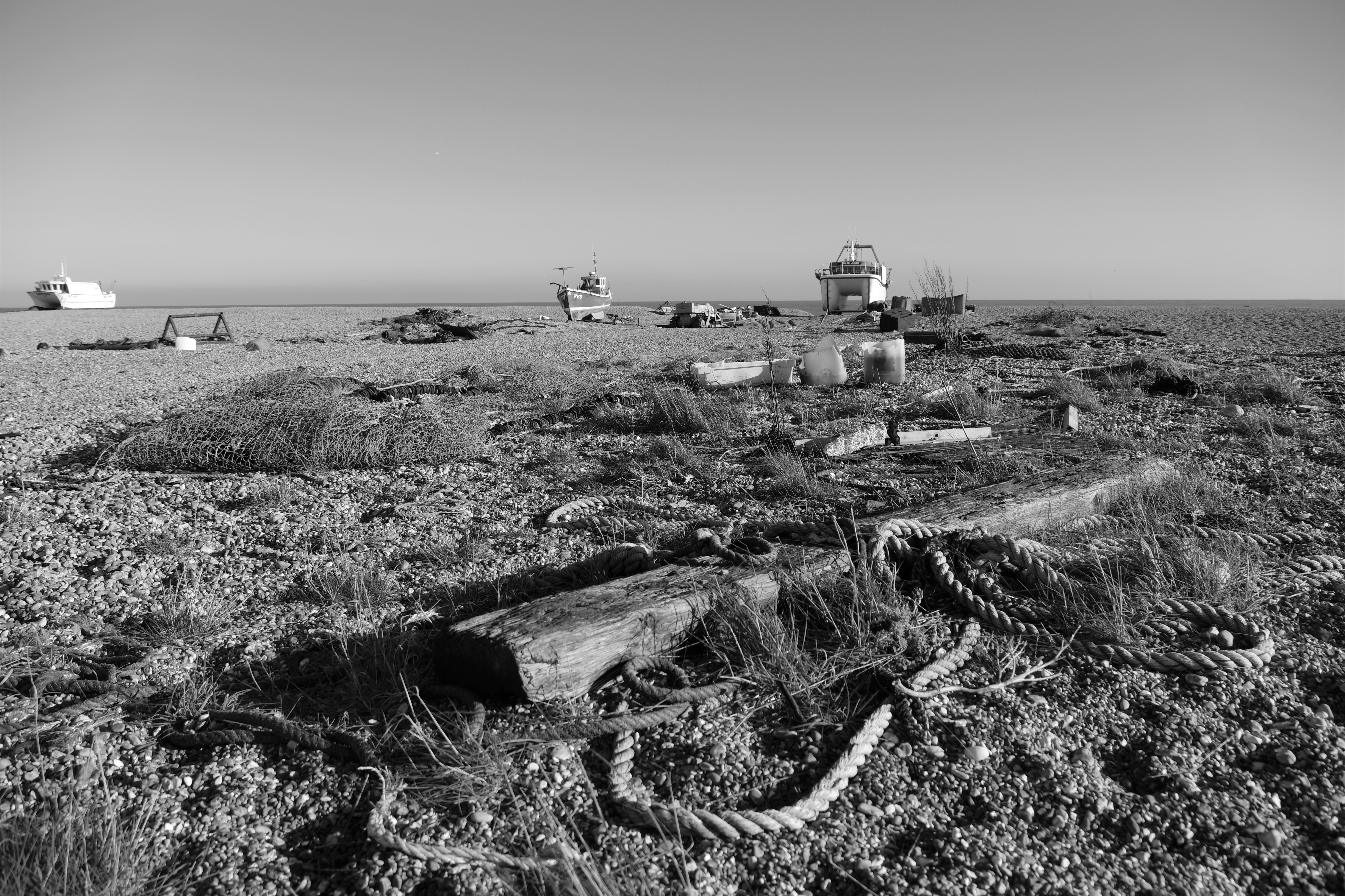 Dungeness0075