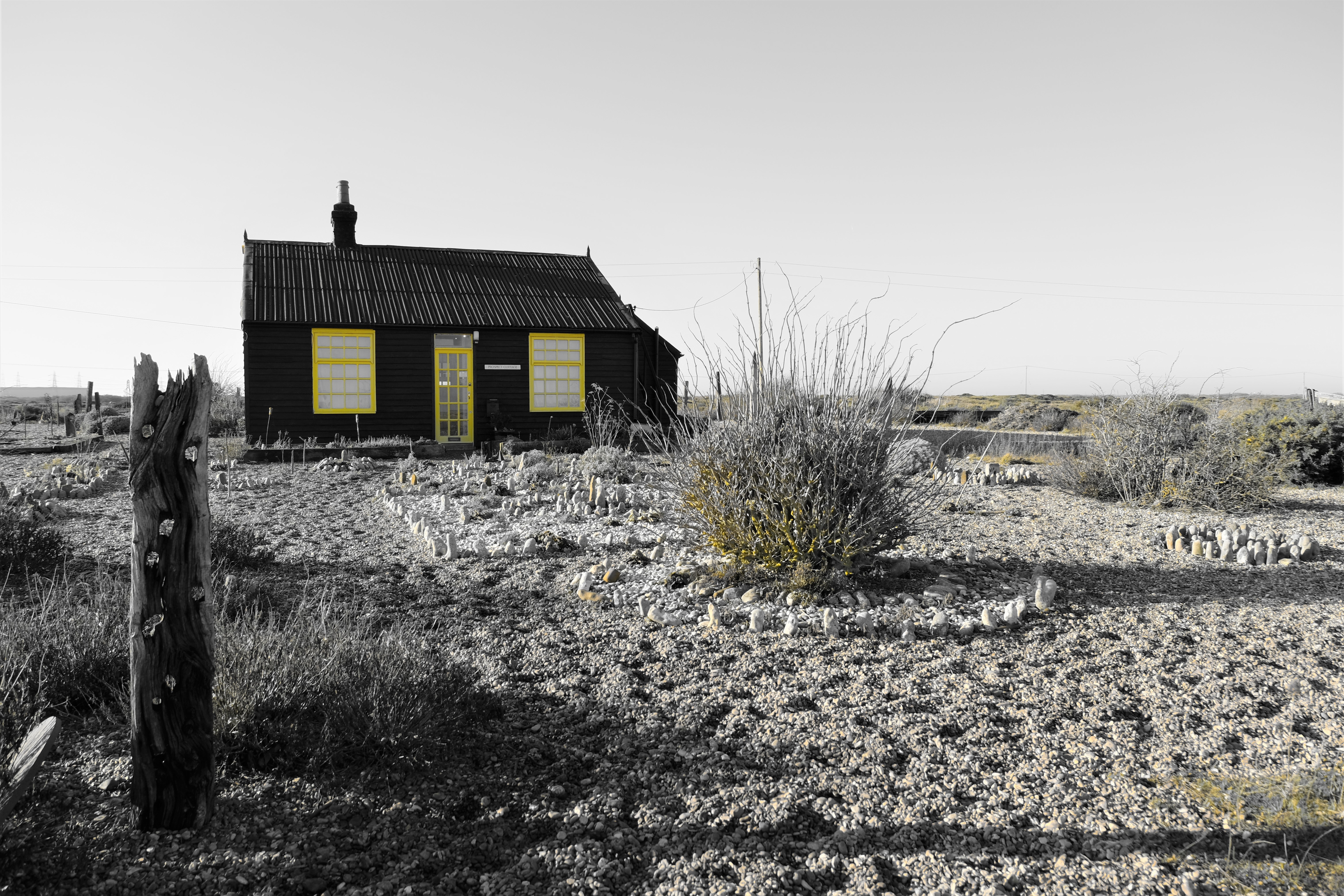 Dungeness0110
