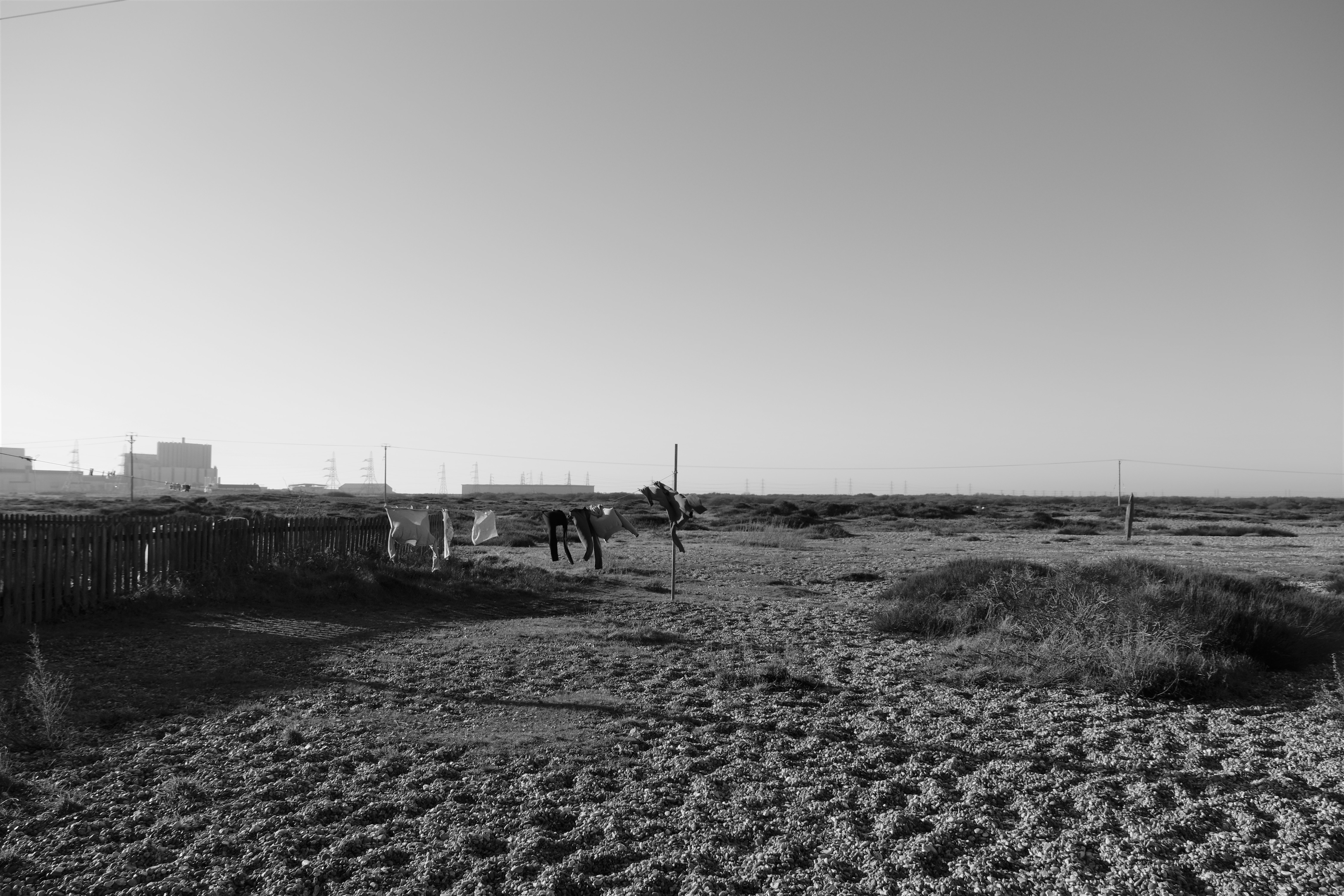 Dungeness0113