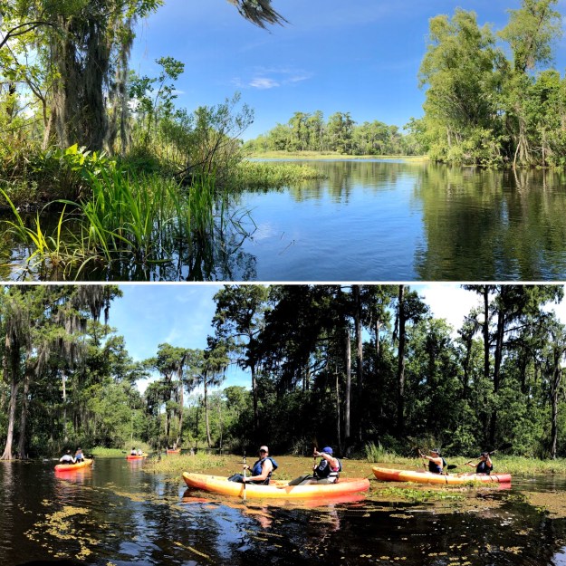 E77AAA32-A8F2-47AE-A731-45C17A965919