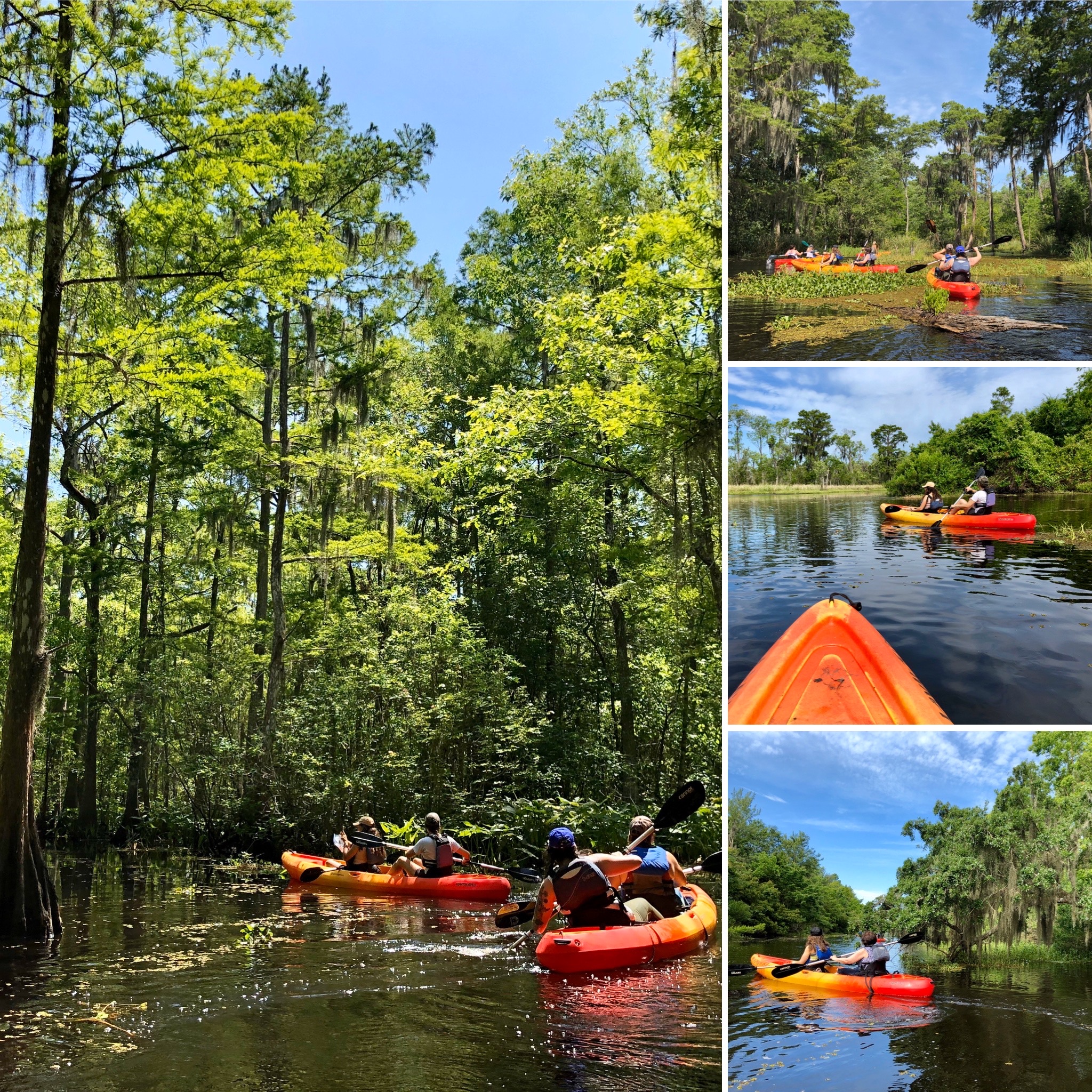 E819F5B0-B8C2-4BA0-9311-28EAE9867ED6