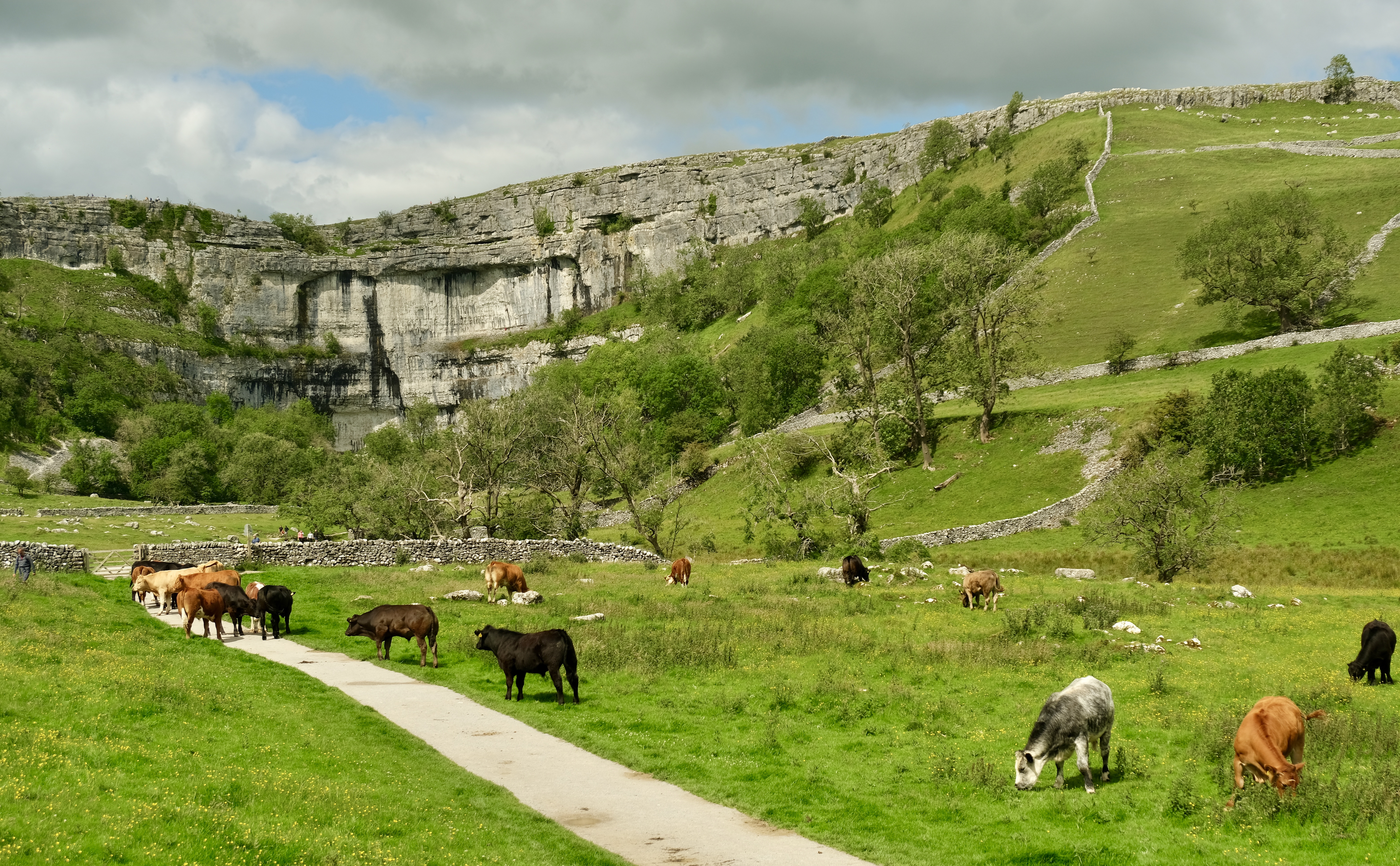 Malham8