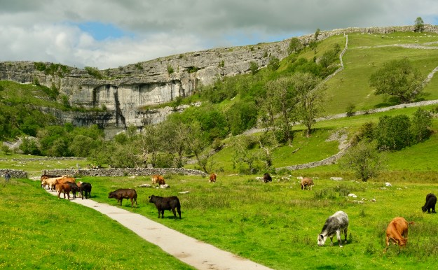 Malham8