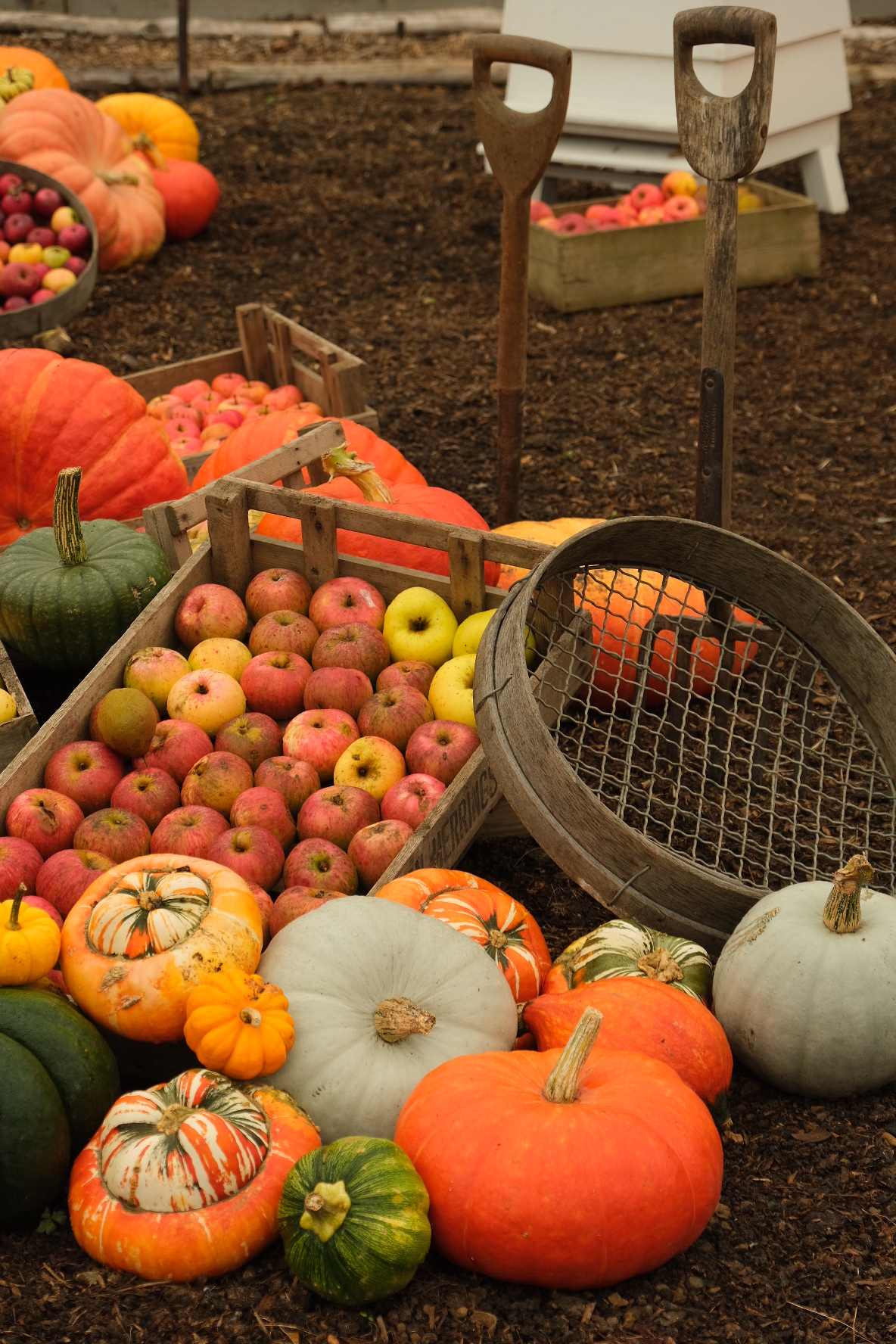 AE6B7490-9E30-4266-B250-F9BDA90FB389L0001