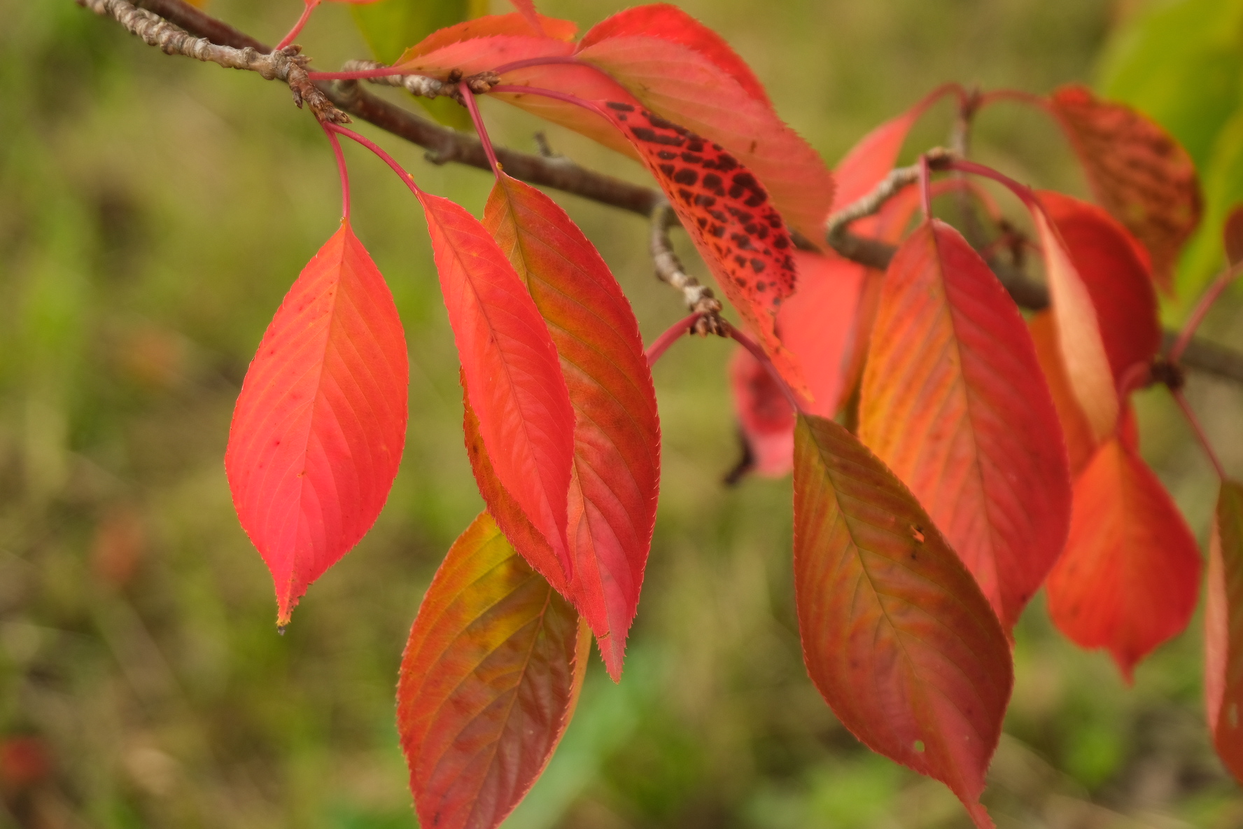 F1247810-FD30-4401-91CF-ABF680B4DE93L0001