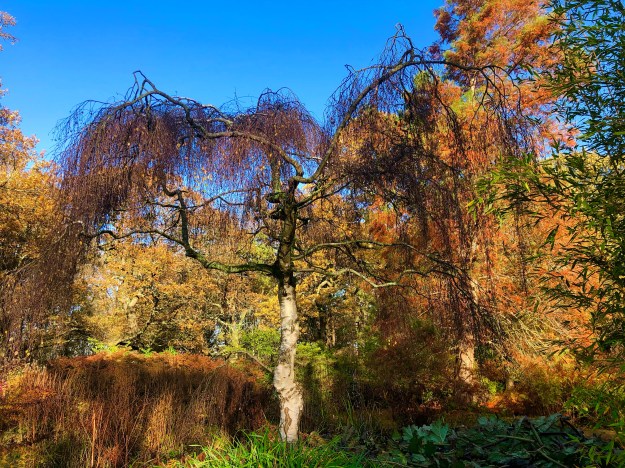 0AA2AB42-8E6F-424B-9F87-FC1F77D0356E