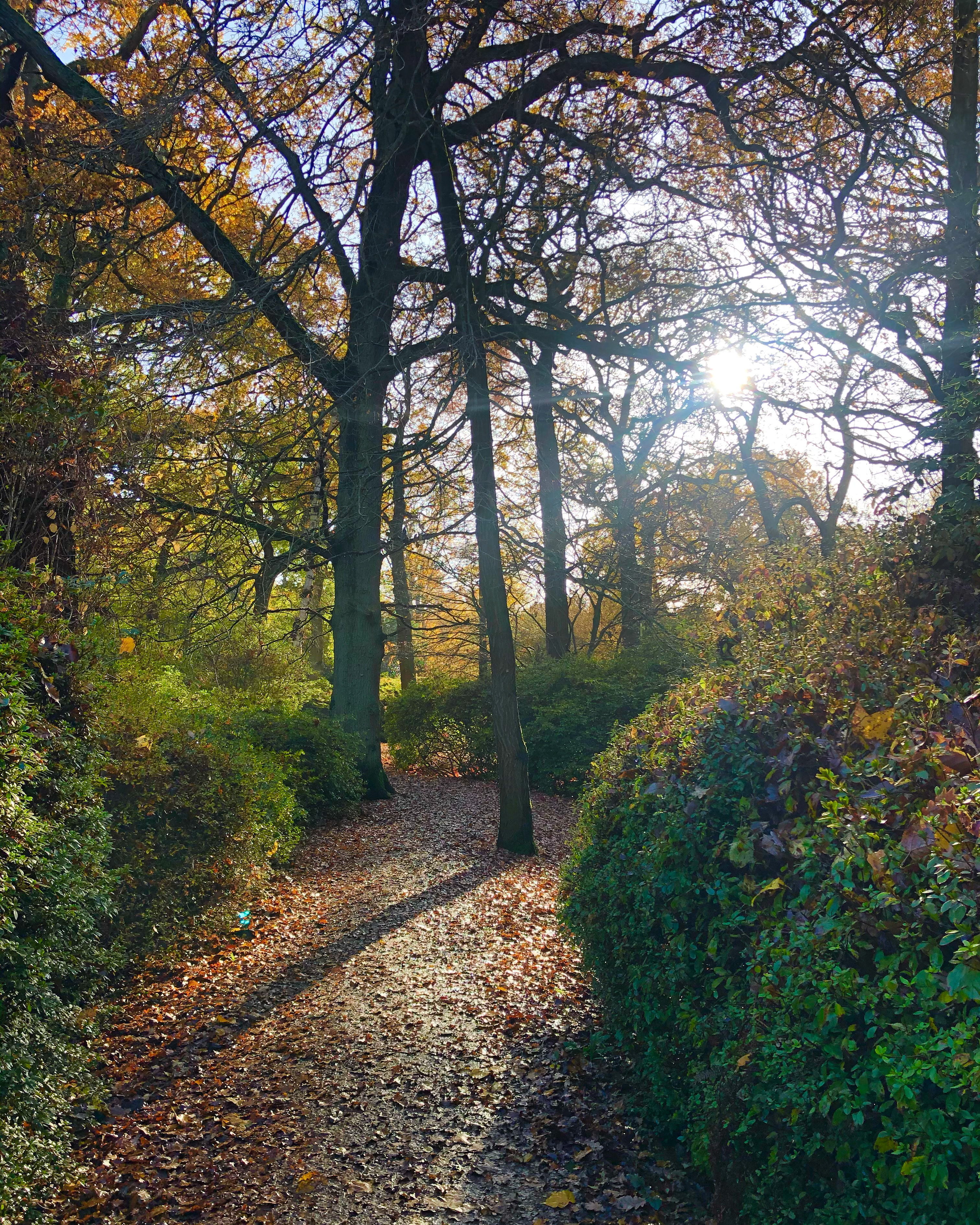 5F8A313E-1DEE-4018-9878-4D5958DAFCAE