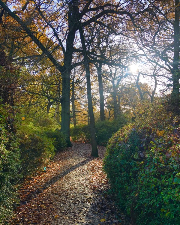 5F8A313E-1DEE-4018-9878-4D5958DAFCAE