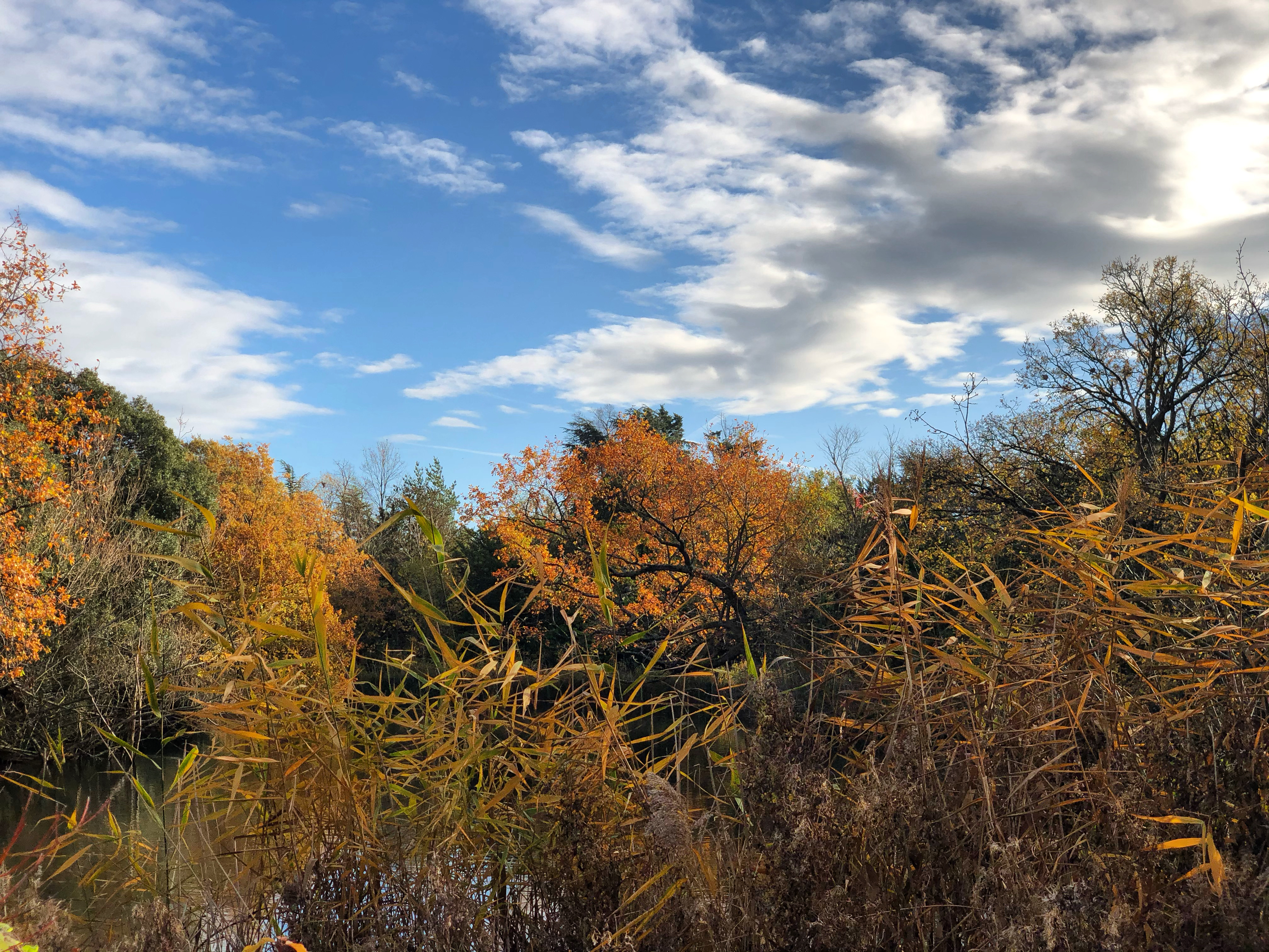 9353F324-DF56-4882-8A58-4FB5C3057AEC