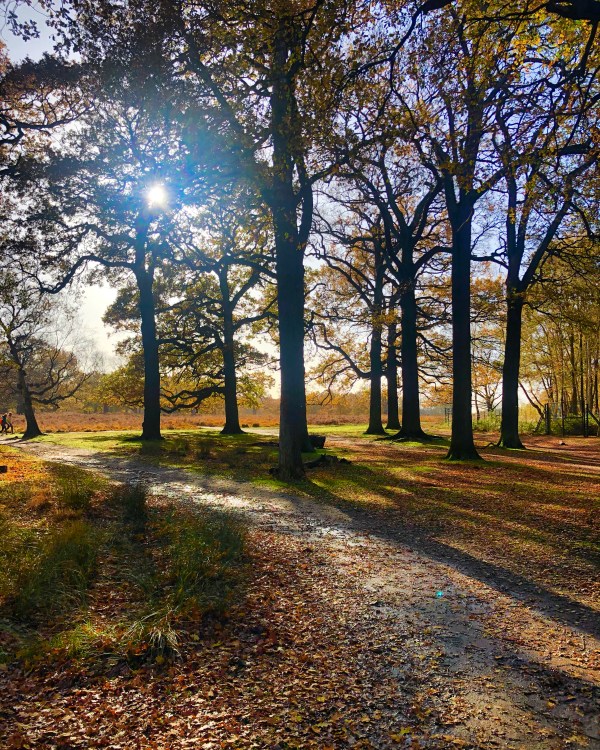 CED5051B-8D50-4699-BDEE-75931EF3F2C9