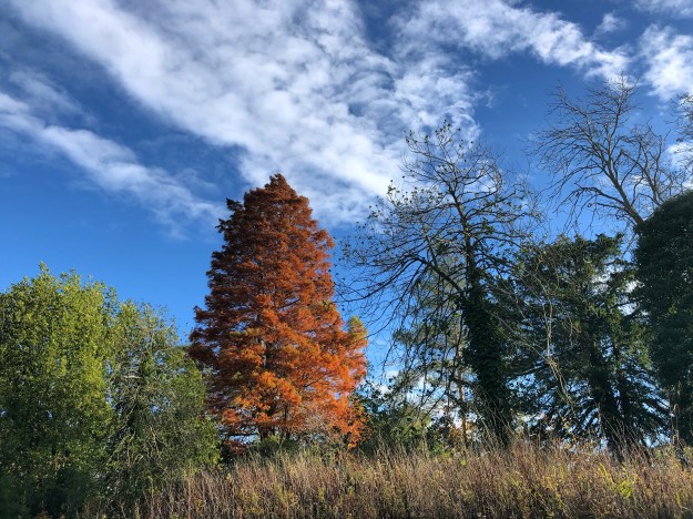 F40ABA30-C288-4621-80BE-76400E7358B2