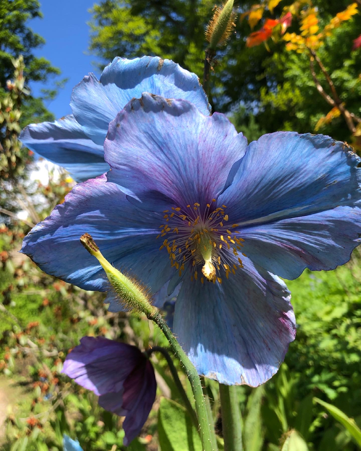 9C886284-9E5C-4FAD-B7E3-3DEF8CE06175